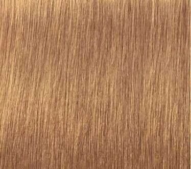 Schwarzkopf Igora Royal Absolutes ilgalaikio poveikio žilų plaukų dažai 60 ml