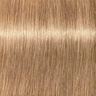 Schwarzkopf Igora Royal Absolutes ilgalaikio poveikio žilų plaukų dažai 60 ml - 9-140