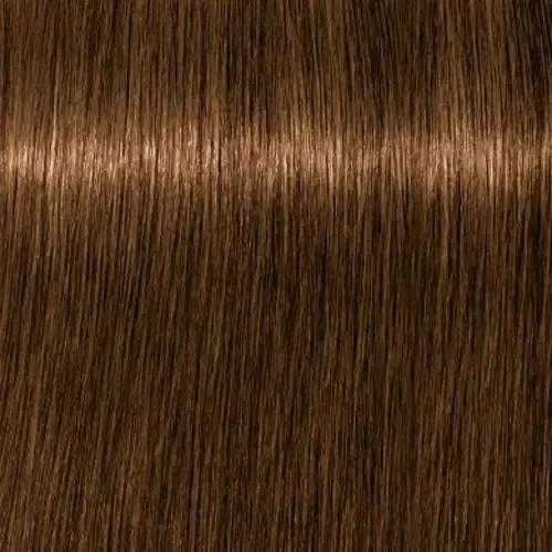 plaukų dažai Schwarzkopf Igora Royal Absolutes 8-60 60ml