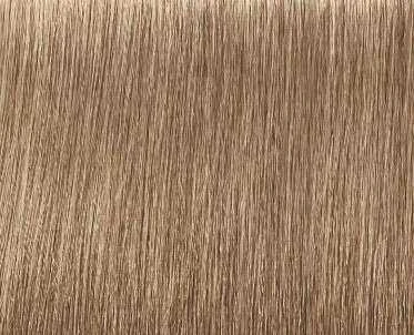 Schwarzkopf Igora Royal Absolutes ilgalaikio poveikio žilų plaukų dažai 60 ml - 8-140