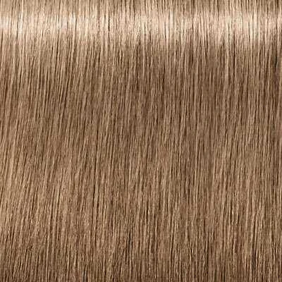 Schwarzkopf Igora Royal Absolutes ilgalaikio poveikio žilų plaukų dažai 60 ml - 8-01