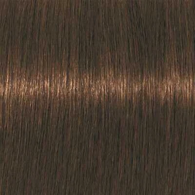 Schwarzkopf Igora Royal Absolutes ilgalaikio poveikio žilų plaukų dažai 60 ml - 7-460