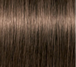 Schwarzkopf Igora Royal Absolutes ilgalaikio poveikio žilų plaukų dažai 60 ml - 5-50