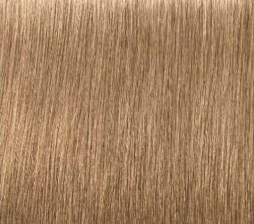 Schwarzkopf Igora Royal Absolutes ilgalaikio poveikio žilų plaukų dažai 60 ml - 9-40