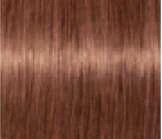 Schwarzkopf Igora Royal Absolutes ilgalaikio poveikio žilų plaukų dažai 60 ml - 7-560