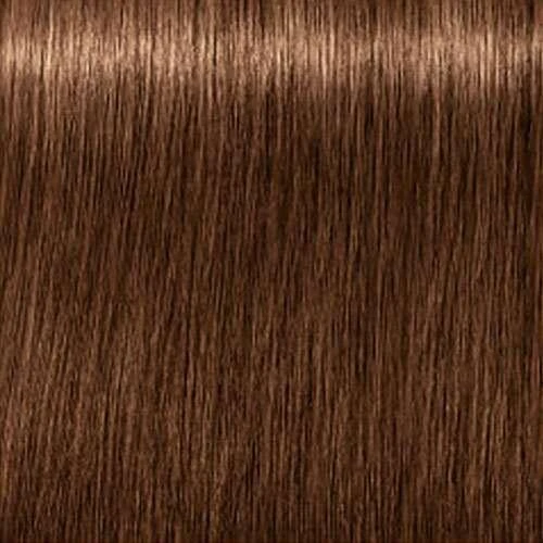 Schwarzkopf Igora Royal 6-60 spalvos pavyzdys