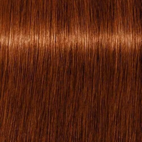 Schwarzkopf Igora 6-70 spalvos pavyzdys