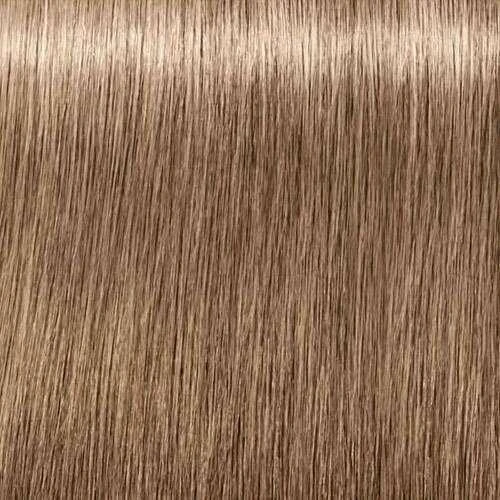 Schwarzkopf Igora Royal Absolutes ilgalaikio poveikio žilų plaukų dažai 60 ml - 8-01
