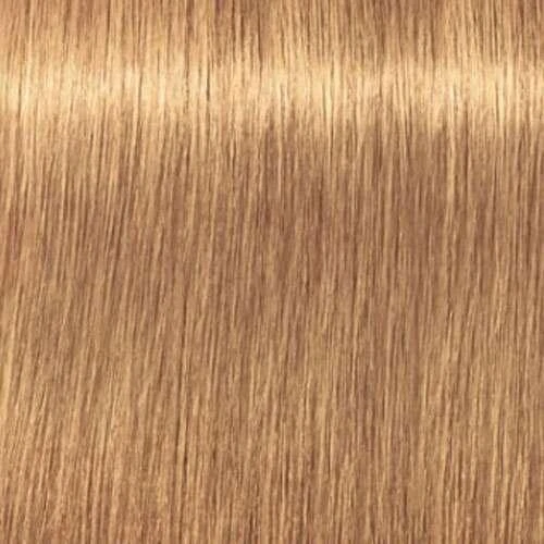 Igora Royal Absolutes 9-50 spalvos paletės pavyzdys