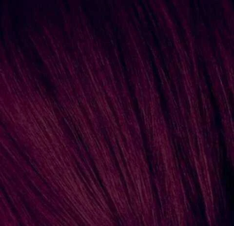 Schwarzkopf Igora Royal ilgalaikio poveikio plaukų dažai 60 ml - 4-99