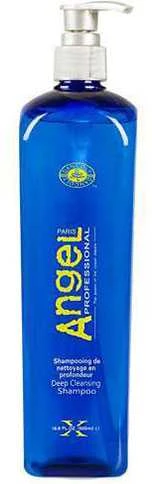 Angel Professional Spalvą apsaugantis šampūnas, dažytiems plaukams Angel Expert Color- Lock Šampūnas 2000ml