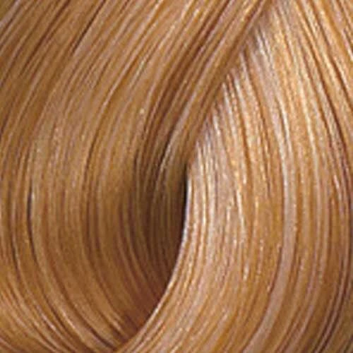 Wella Color Touch Plus plaukų dažai 60 ml - 88/03