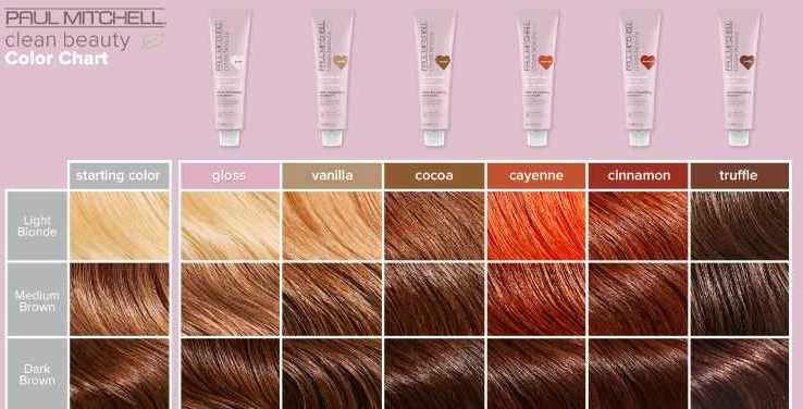 Žvilgesio suteikianti kaukė Paul Mitchell Awapuhi Hydrasoft Glossing Treatment 236ml