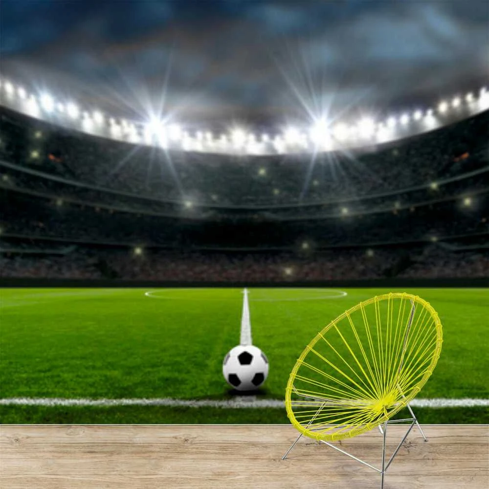 Fototapetai - Futbolo stadionas 200x140cm (PASKUTINIS)