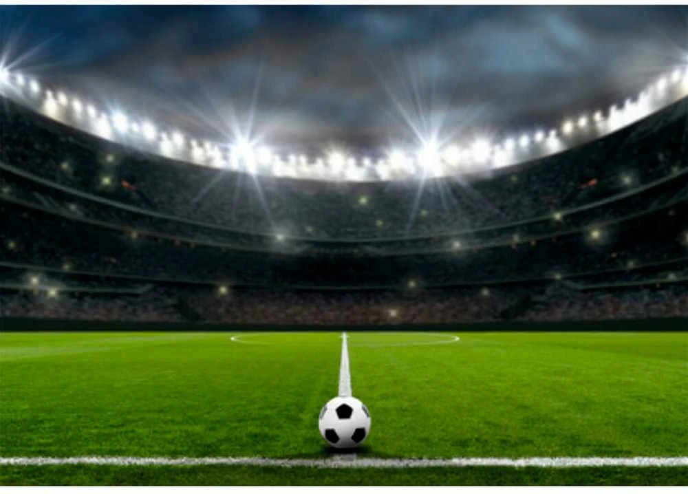 Fototapetai - Futbolo stadionas 200x140cm (PASKUTINIS)
