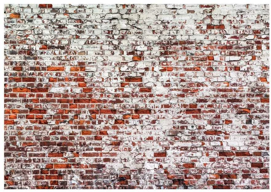 Fototapetai - Jos didenybė Plyta 100x70cm 4 vnt. (Paskutiniai)