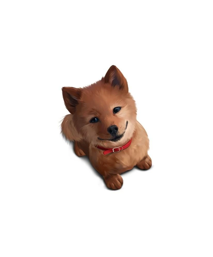 Deco detales Interjero lipdukas Akita Inu 50x70cm