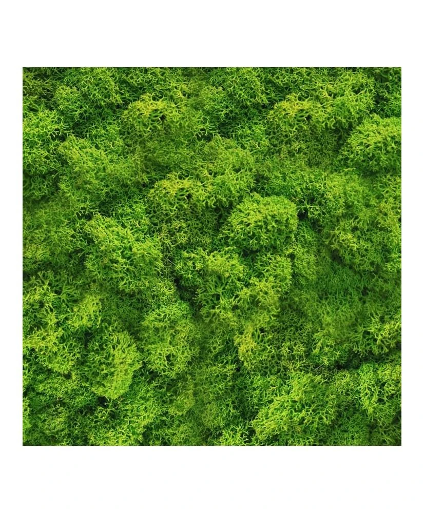 Dekoracija - Samanų širdelė (PASKUTINĖS 3 VNT.)