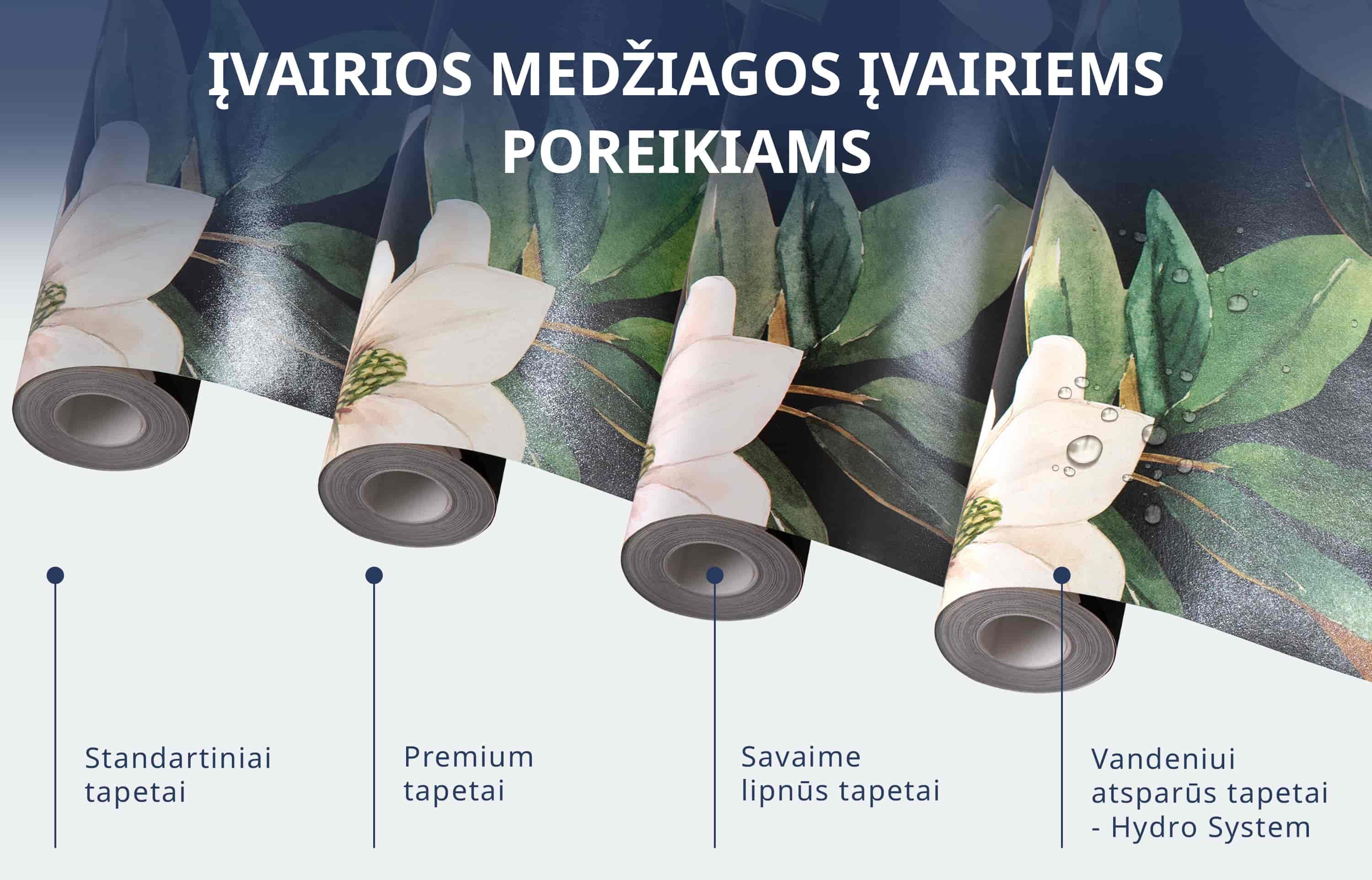 Tapetai - Sausio rytas aprašymas - Prekės nuotrauka