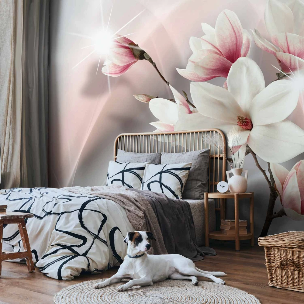 Fototapetai - Baltos magnolijos