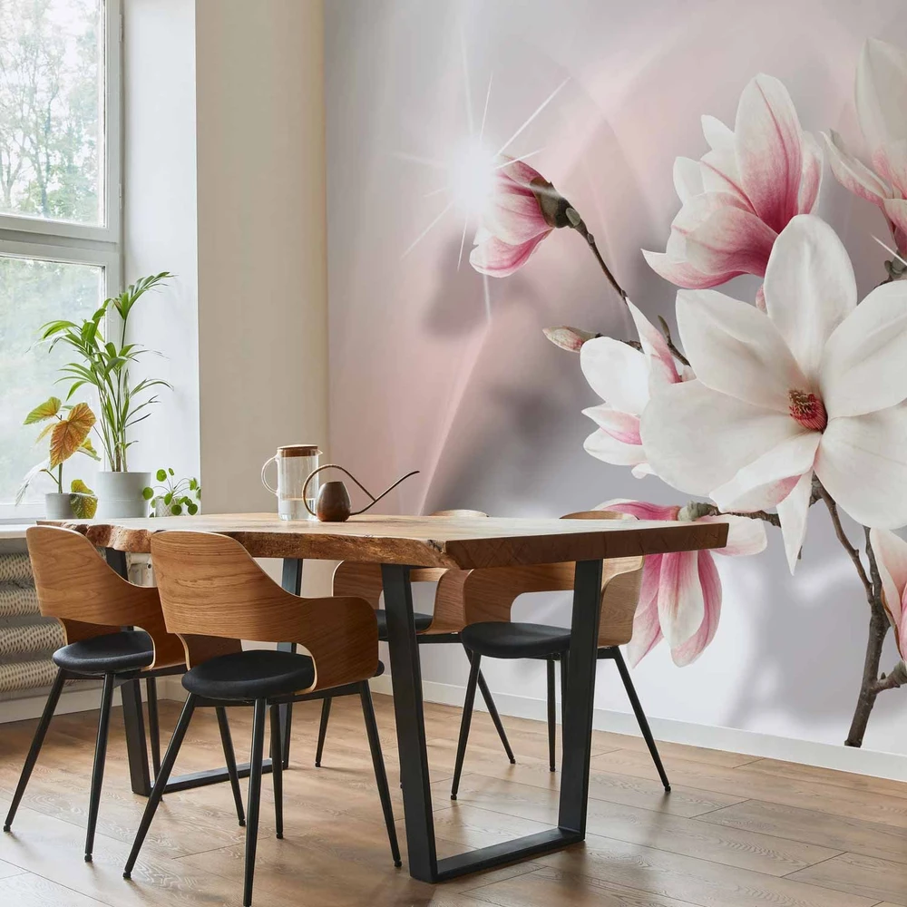 Fototapetai - Baltos magnolijos