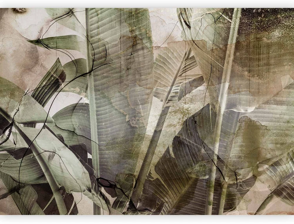 Fototapetai - Bananų džiunglės