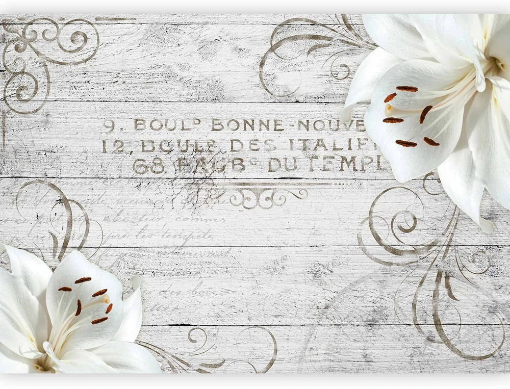 Fototapetai - Bonne Nouvelle
