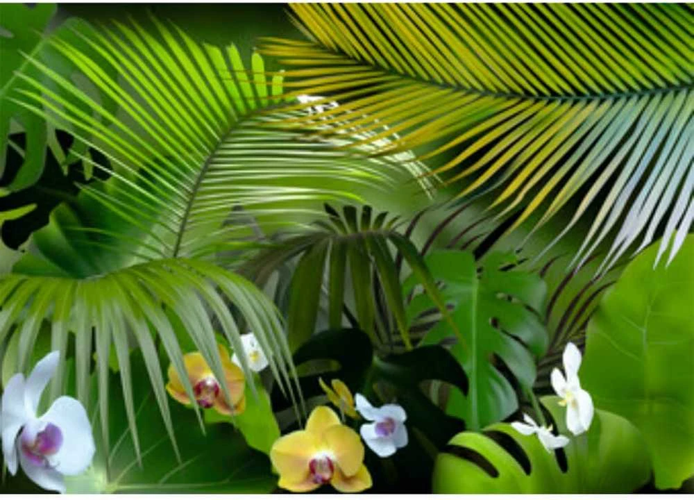 Fototapetai - Džiunglių orchidėjos