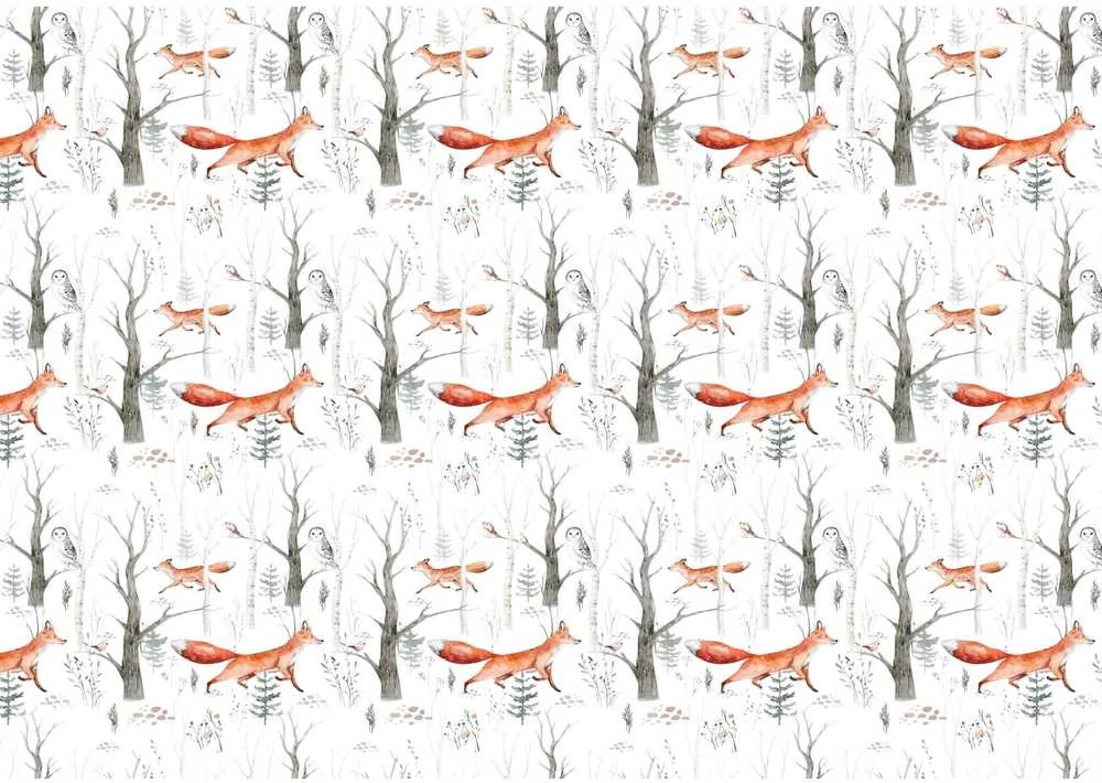 Fototapetai - Lapės miške