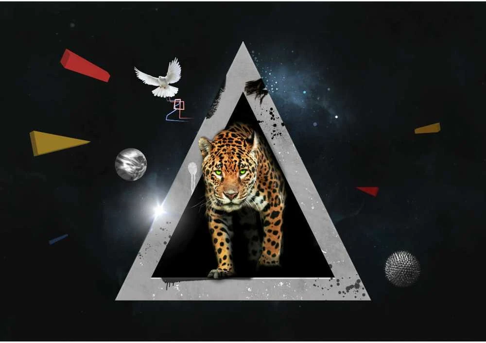 Fototapetai - Leopardo pasaulis