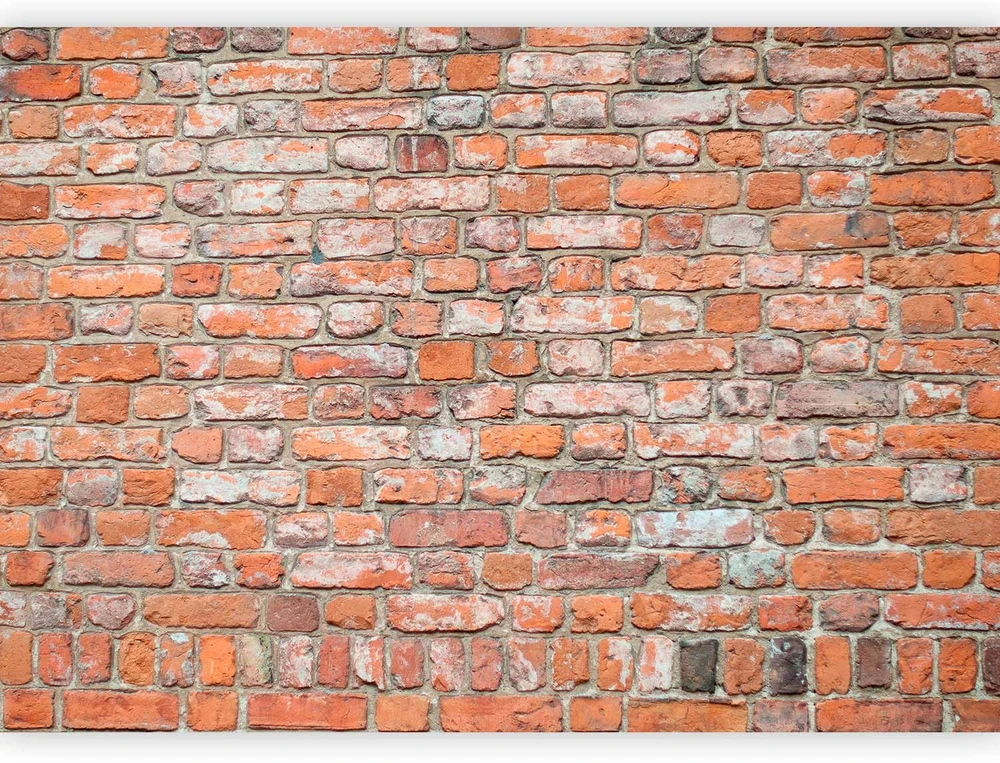Fototapetai - Lofto siena senų raudonų plytų imitacija