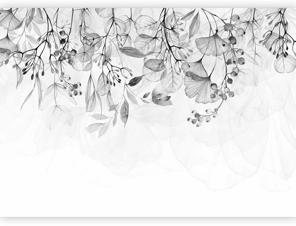 Fototapetai - Miglota gamta pilka
