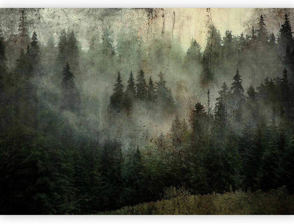 Fototapetai - Miglotas miško grožis