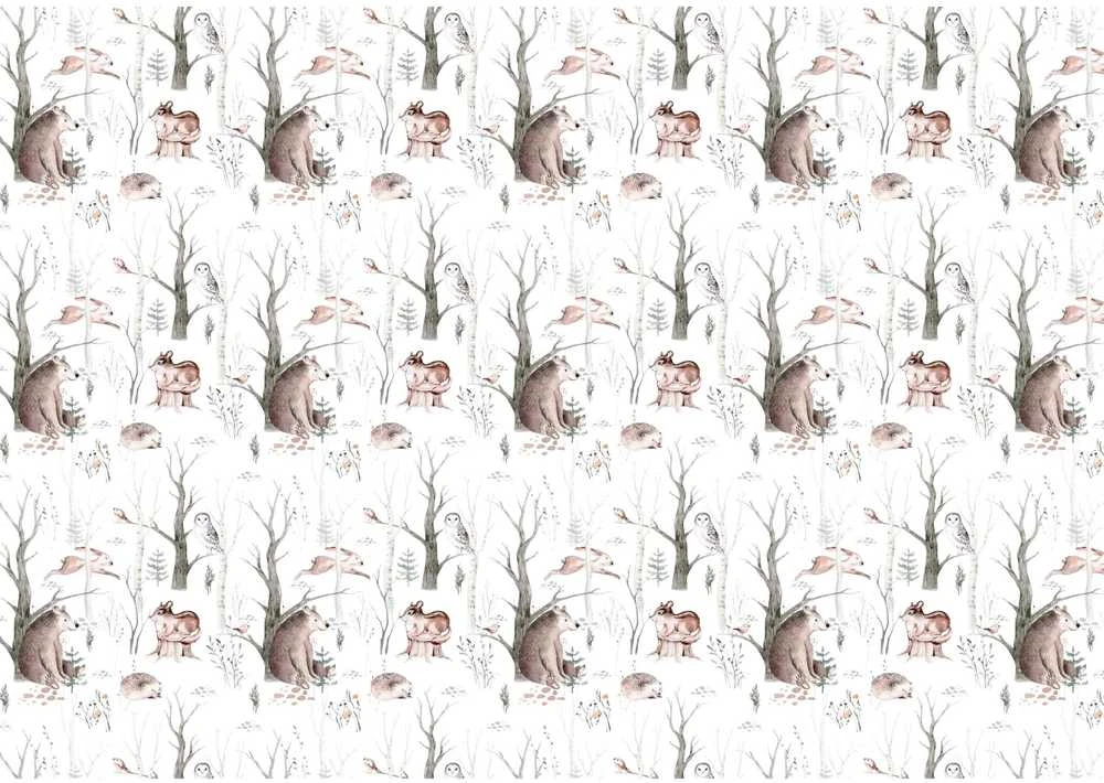 Fototapetai - Miško pasaka