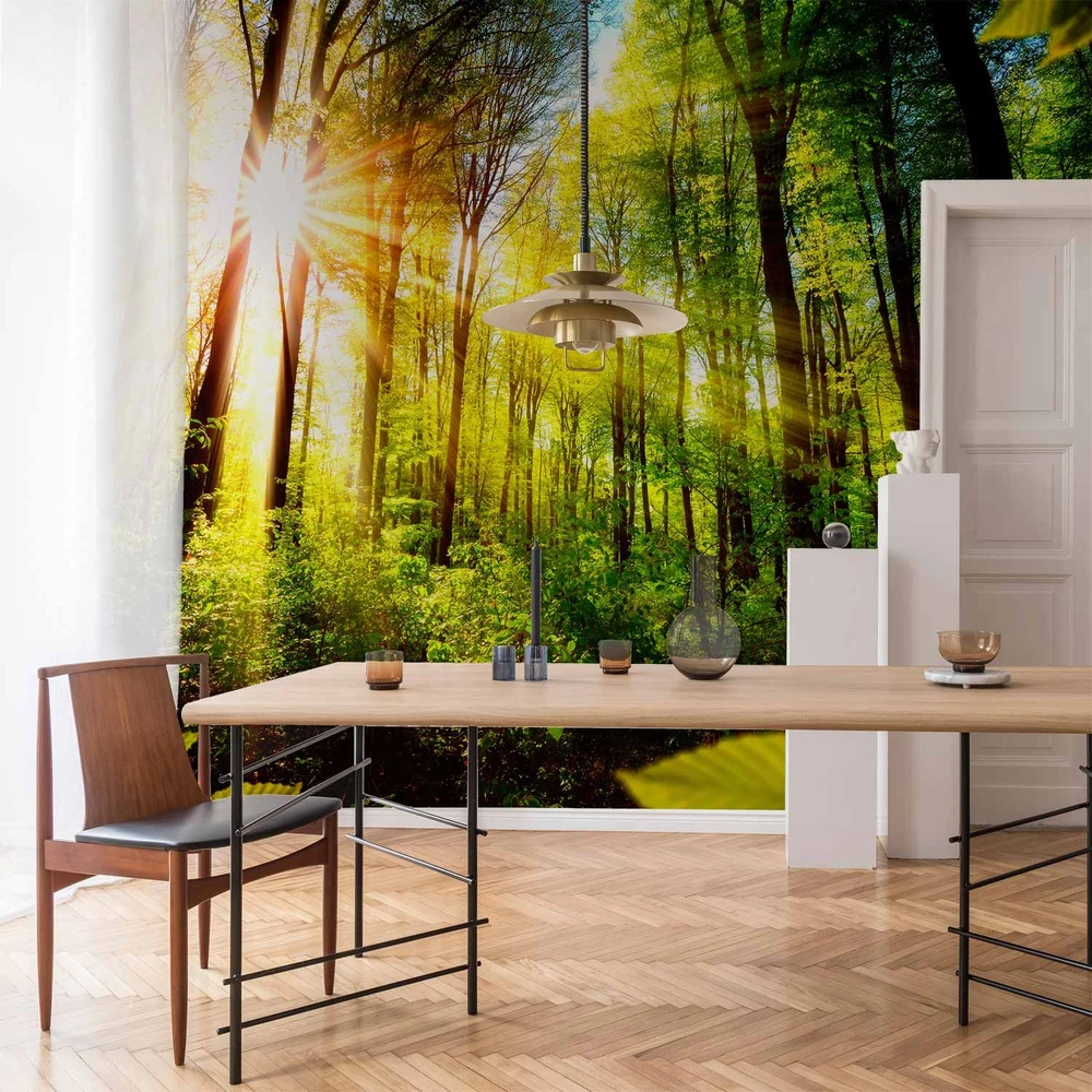 Fototapetai - Miško slėptuvė