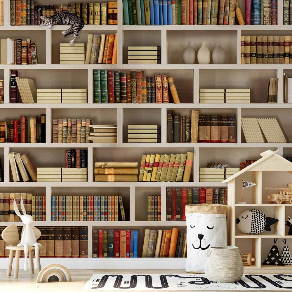 Fototapetai - Namų biblioteka