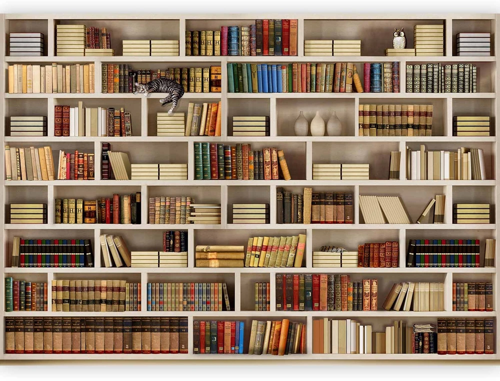 Fototapetai - Namų biblioteka