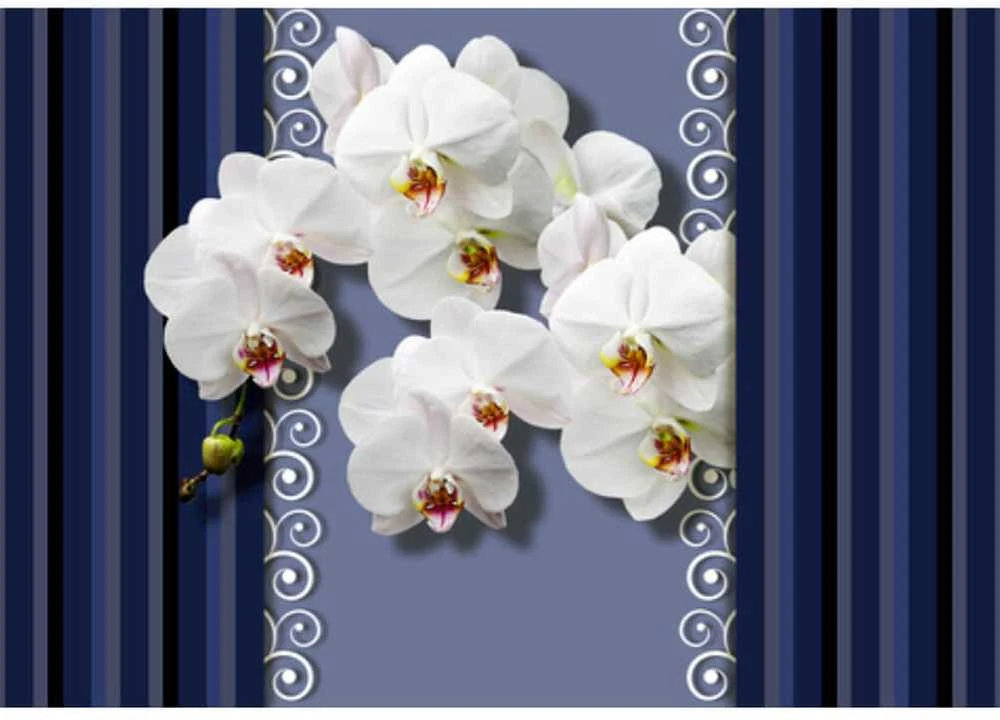 Fototapetai - Orchidėjos mėlyname fone