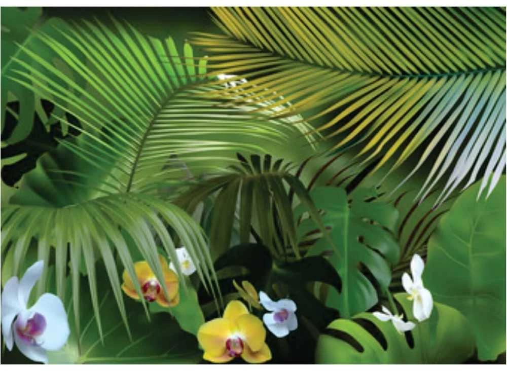 Fototapetai - Orchidėjos miške