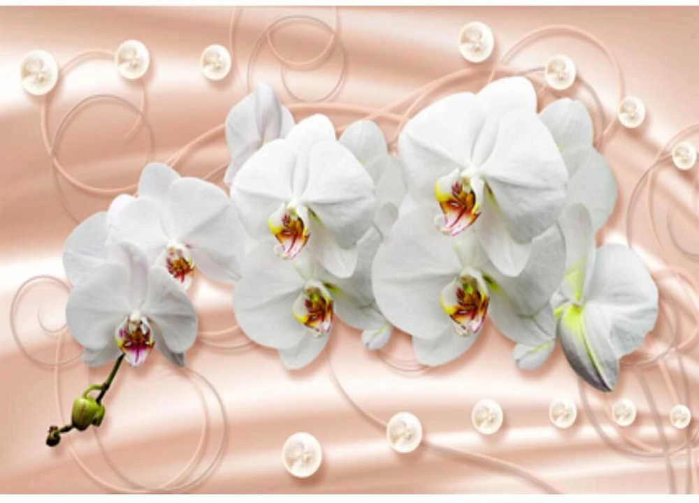 Fototapetai - Orchidėjos pasteliniame fone
