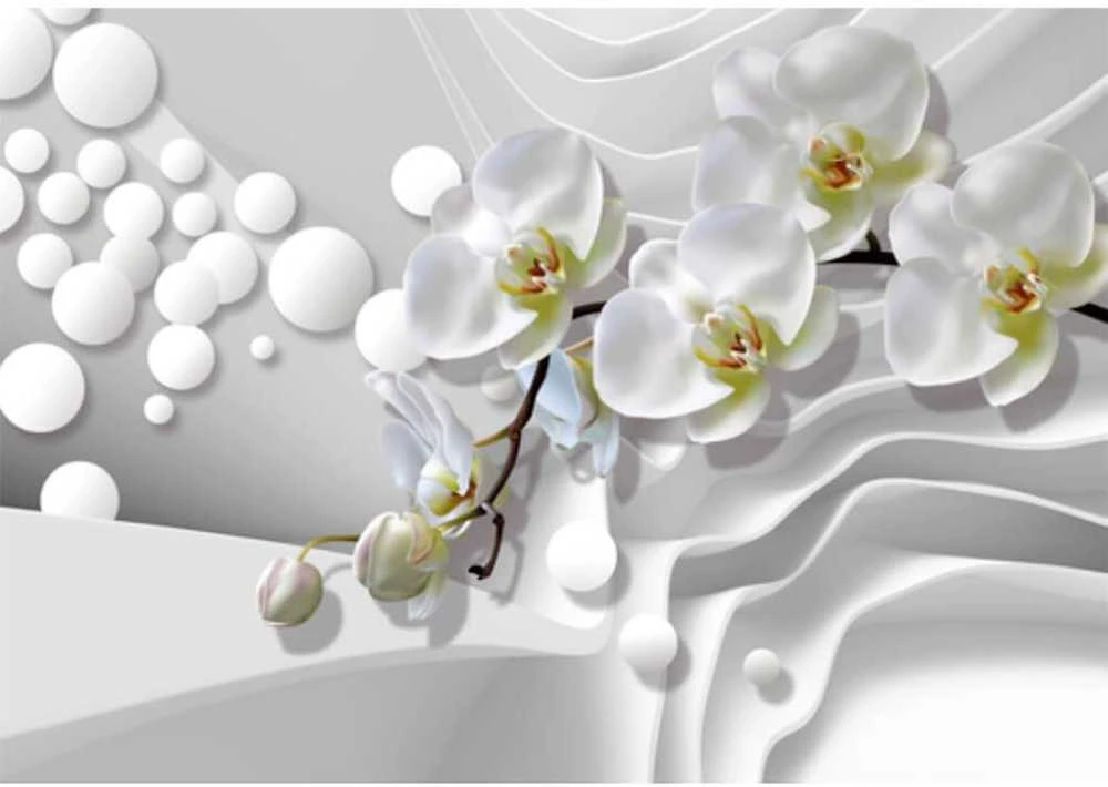 Fototapetai - Orchidėjų švelnumas