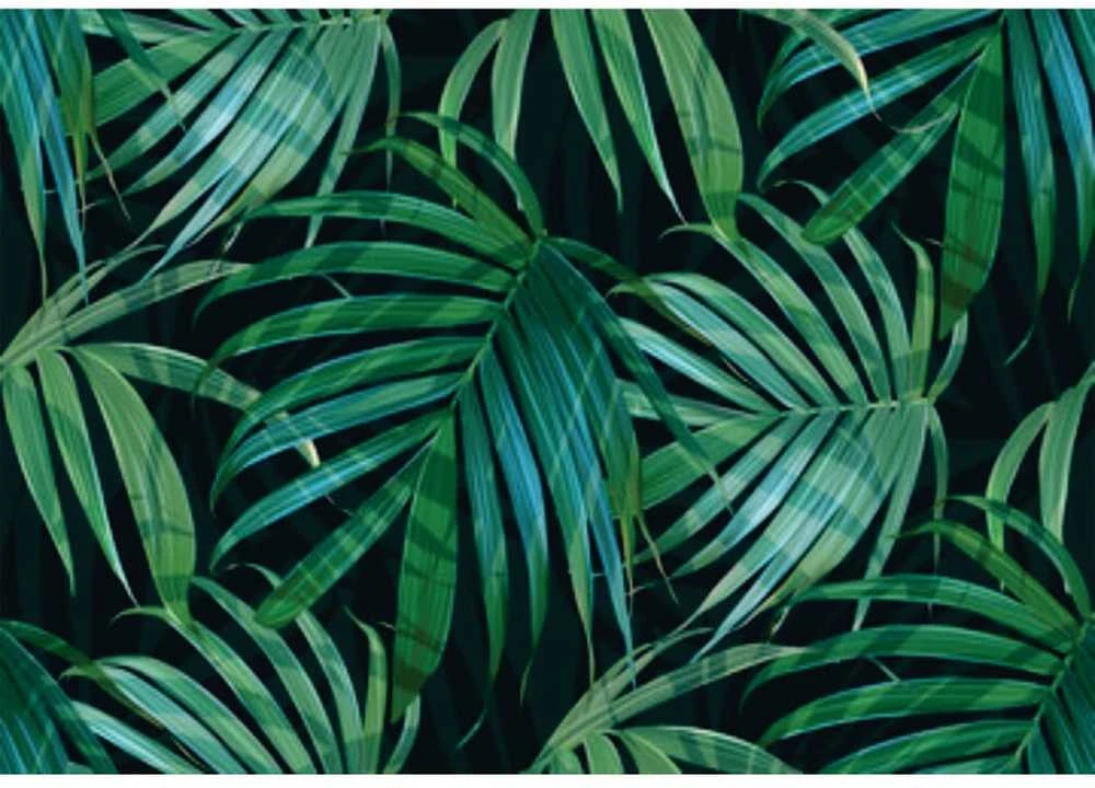 Fototapetai - Palmės lapai
