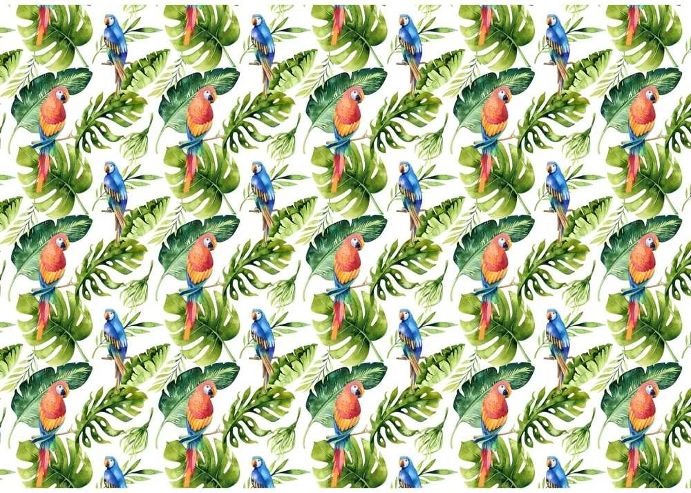 Fototapetai - Papūgos