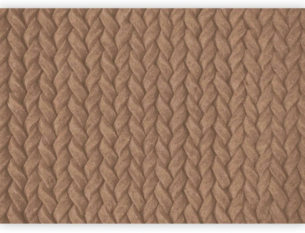 Fototapetai - Pynės pirmas variantas