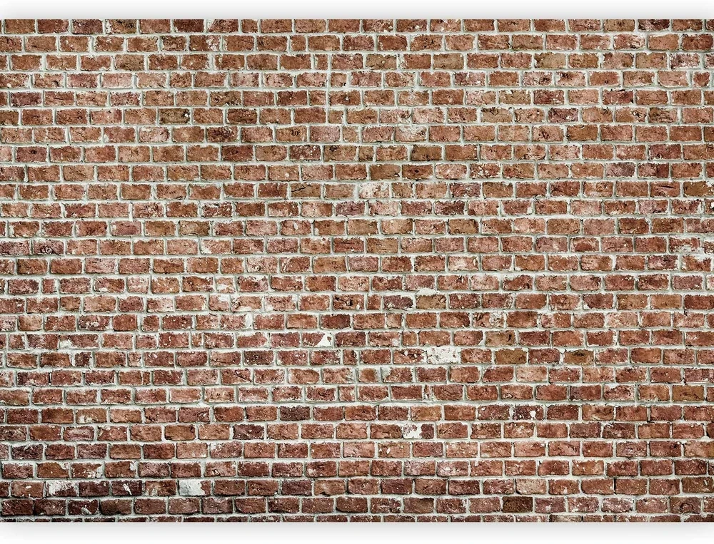Fototapetai - Sena valda