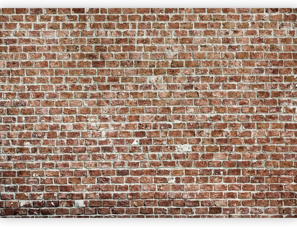 Fototapetai - Sena valda