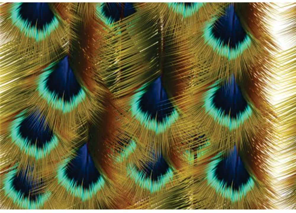Fototapetai - Spalvingos povo plunksnos