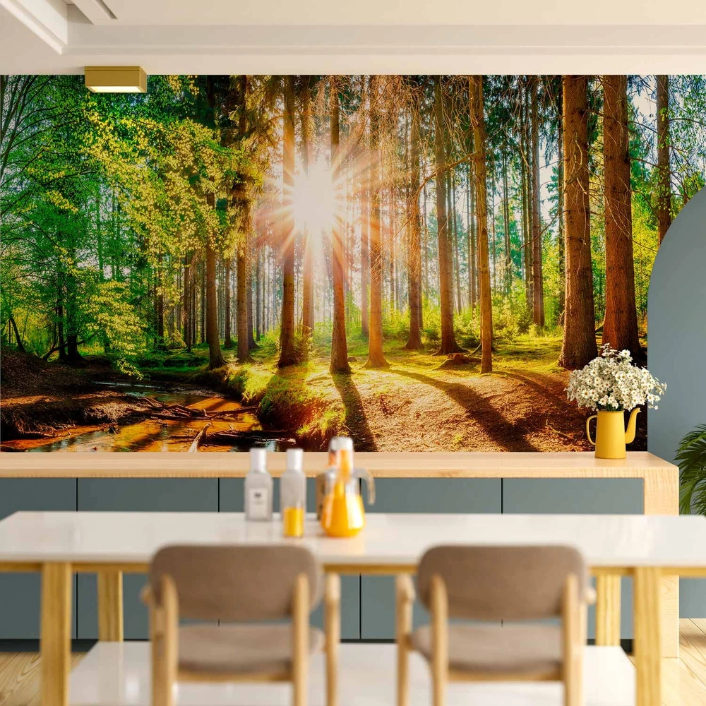 Fototapetai - Stebuklingas miškas