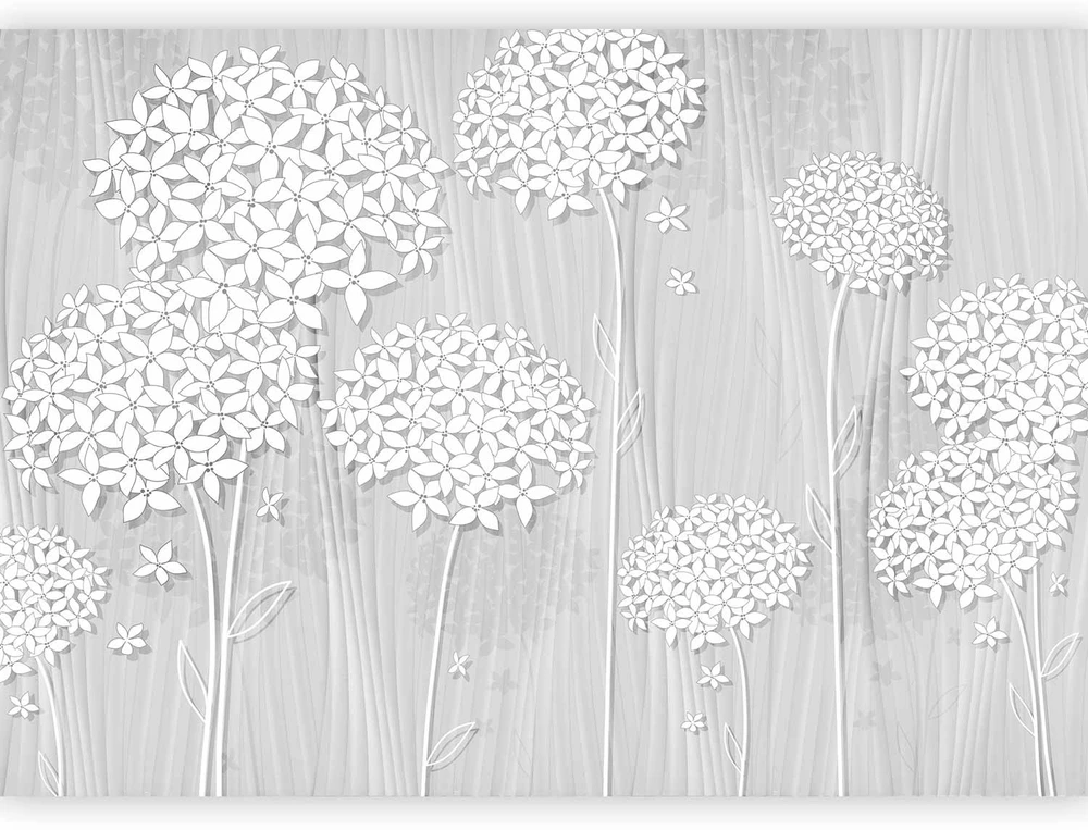 Fototapetai - Švelnus atspalvis