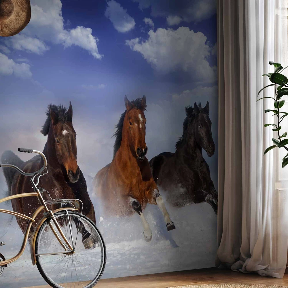 Fototapetai - Žirgai sniege